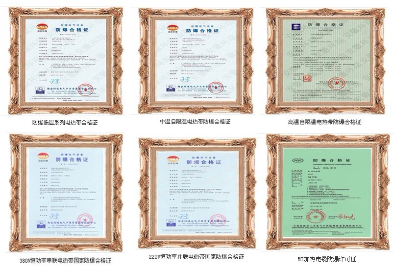 防爆型电伴热带结构及防爆等级说明